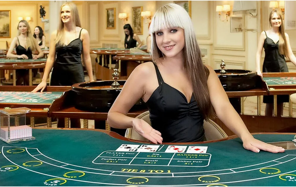 Dealer di meja kasino live dengan suasana permainan langsung